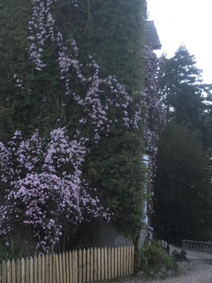 利特班乡间住宿加早餐旅馆 塞特尔 外观 照片